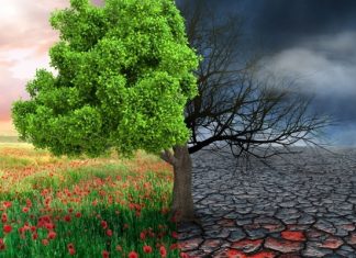 Artiști care abordează schimbările climatice