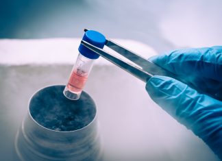 Cum remodelează celulele stem medicina modernă