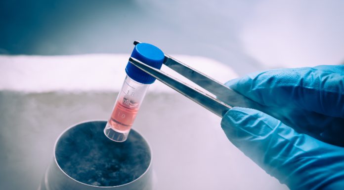 Cum remodelează celulele stem medicina modernă