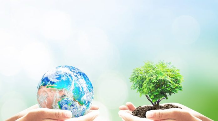 Cum să sărbătorim Ziua Pământului