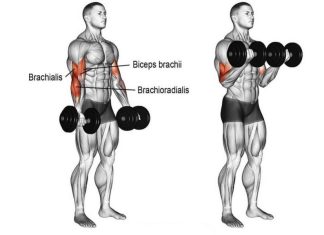 Cele mai bune exerciții pentru bicepși