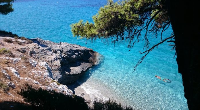 Idei de decor pentru cabane pe plajă pline de farmec de coastă