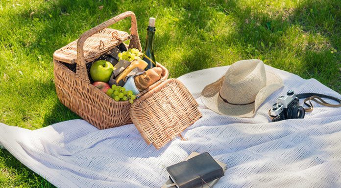 Idei de picnic vegane ușoare și delicioase