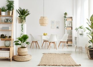 Reguli Feng Shui pentru fiecare cameră din casa ta