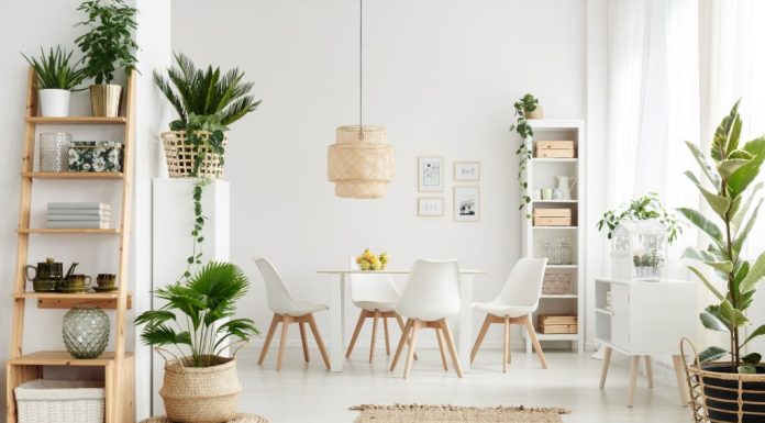 Reguli Feng Shui pentru fiecare cameră din casa ta